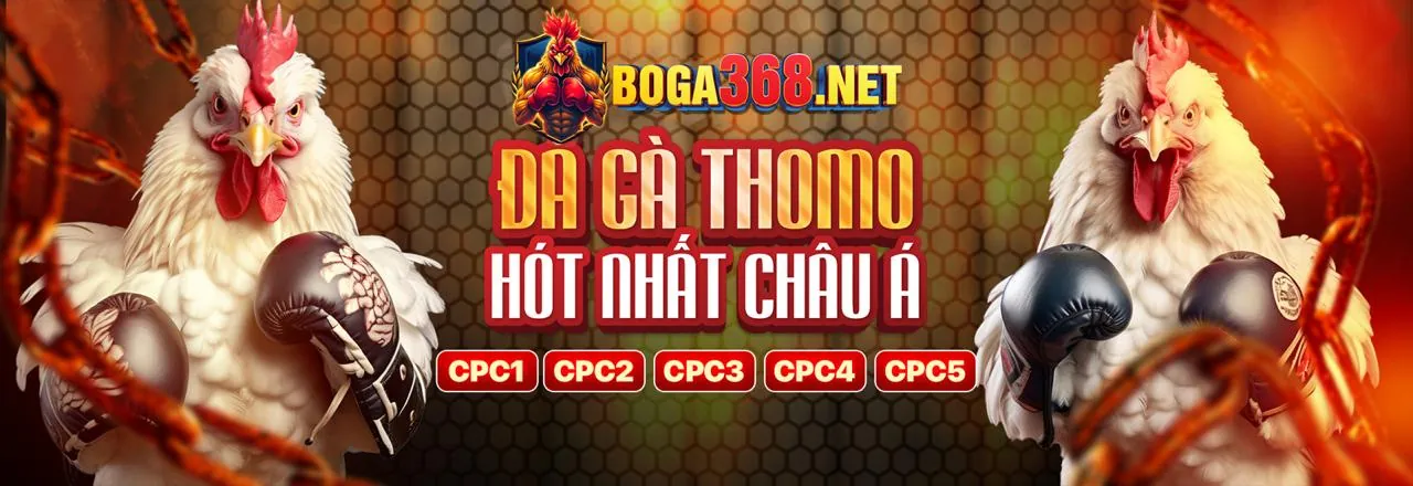 Trải nghiệm chơi game tốt nhất tại Kubet77 nhà cái